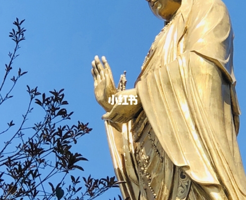 美国人在厨房打扑克牌