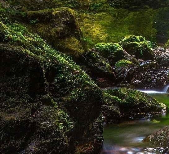 韩立炜 北京中医药大学