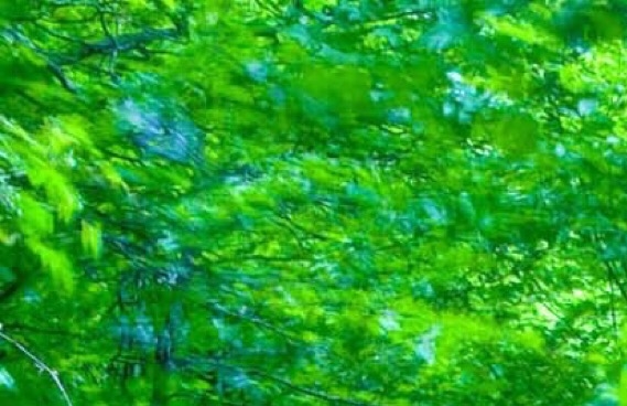 享久健康科技(辽宁)有限公司