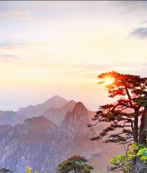 生活妆发型编发图片