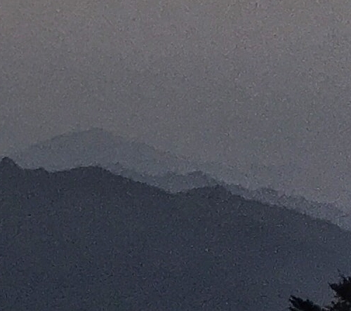 男友从不分享他的生活