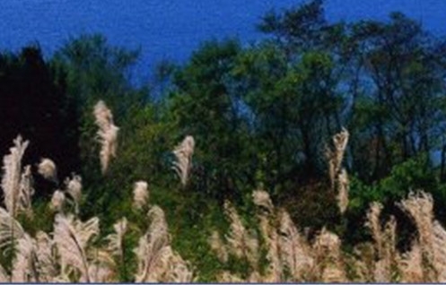 生活广场旁超市｜信阳全购生活广场医药超市电话