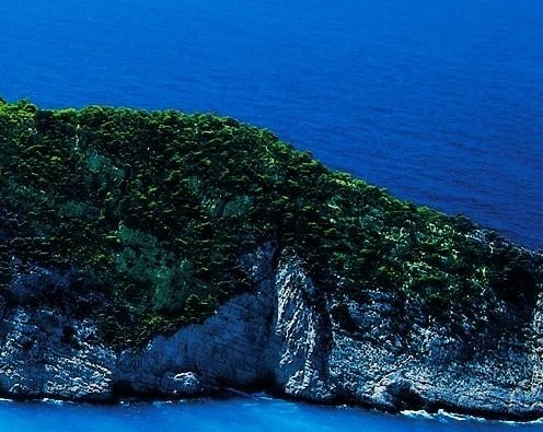 防疫志愿服务新闻稿