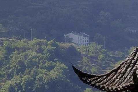 美国人厨房生活中的打扑克牌