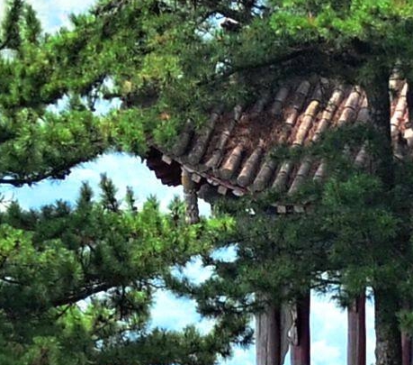 纵横四海美味任务