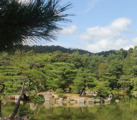 热点景点黑科技小头杆