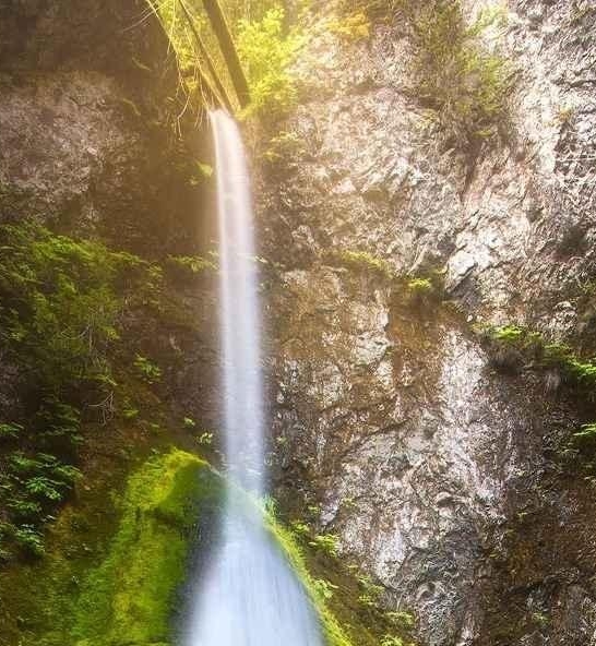 永川区团委书记刘佳简历求职