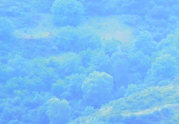 大左生活照片与主持人大左照片，与日本大佐的照片，共同展现多元化的形象