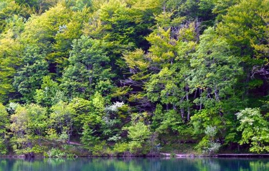 微信小程序一起生活怎么注册