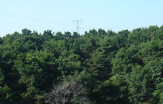 地堡2破解地下城堡