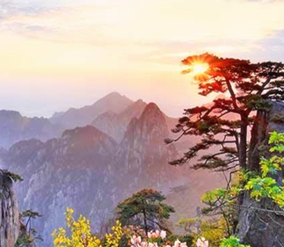 淡然生活，美在眼前