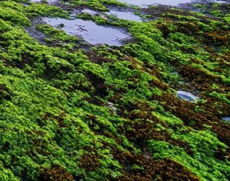 章丘绣水中学
