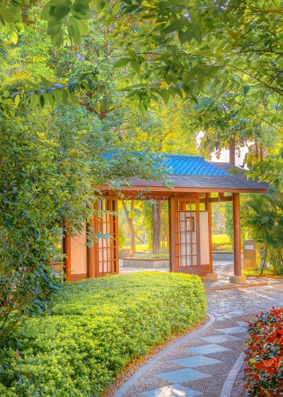 炖鸡黑科技：黑松露加持，味道更上一层楼