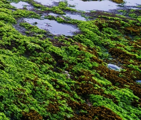 沙拉我最爱