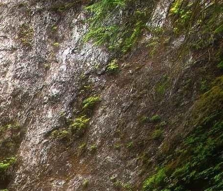 生活蜜月：30天漫步幸福之路 或 蜜月生活30天：浪漫享受甜蜜时光