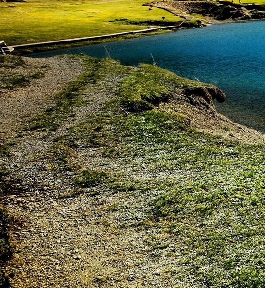 渤海银行高管吴建国与庞珺简历对比