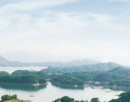生活和现实无奈的文案