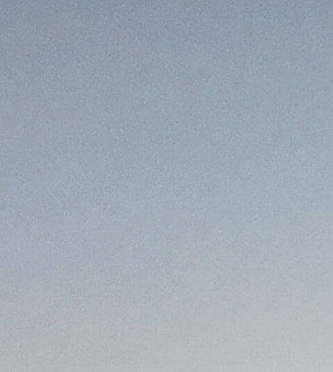 探秘烤鸭：美味多样，吃法大揭秘！