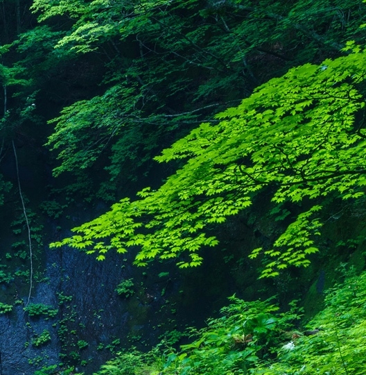 生活生很好，最近也很好