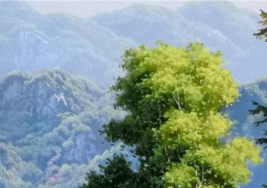 新鲜趣事作文300字
