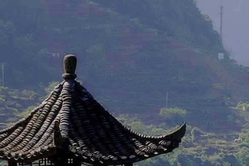 广州足球陈伟简历介绍图片