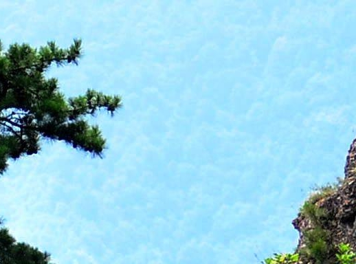 国家疾控中心高福简历