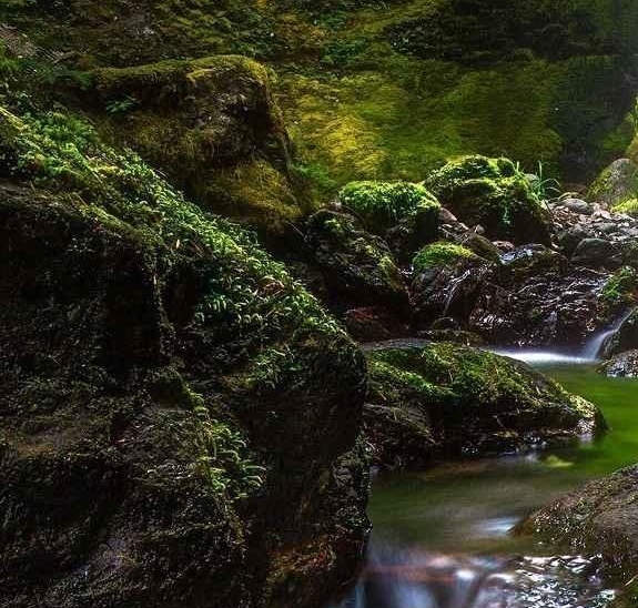 YUMI奇迹或玉米奇迹？探索两种神奇穀物的营养与独特之处