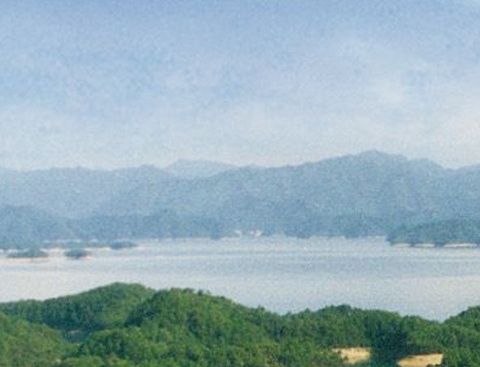 美味奇缘叶以澜