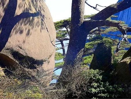 安逸舒适农村生活：舒适安逸的田园诗意