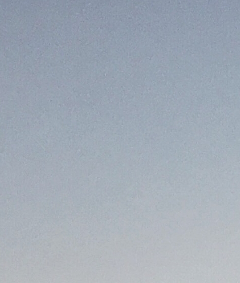 生活需要鲜花文案