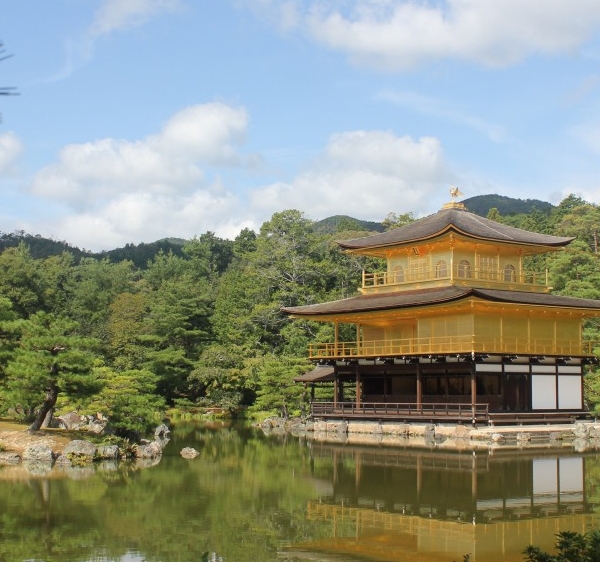 美味餐厅14、15关挑战攻略：从22到14，轻松应对！