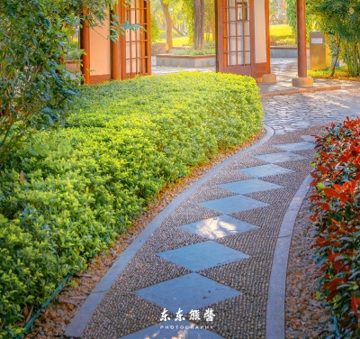 因为爱情有奇迹图片大全