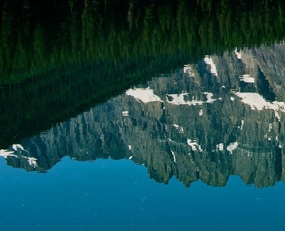 南山街道杜炜平简历