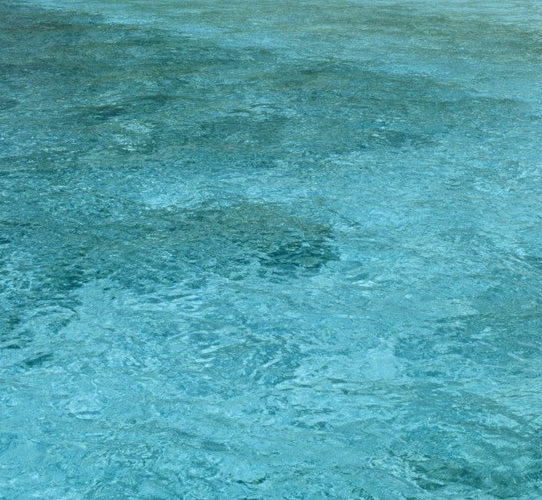世界三大美味水果