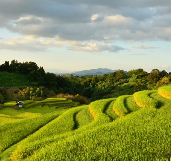 回忆部队的军旅生活