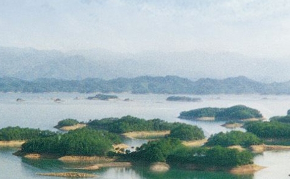 生活欺爱，从未善待谁