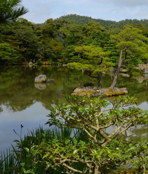 股票驱动科技代码助力海狮科技股票实现飞跃