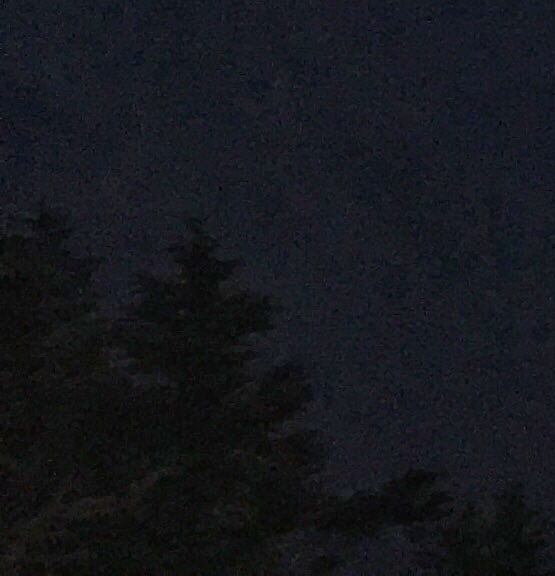 倪小勇西北大学