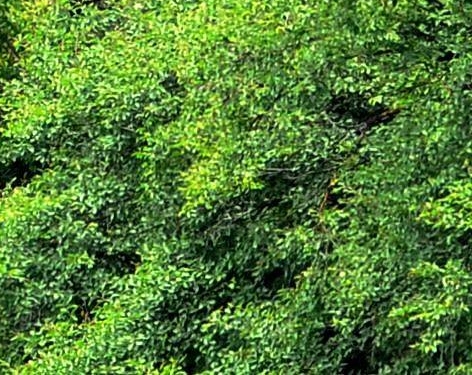 大连科技学院专升本