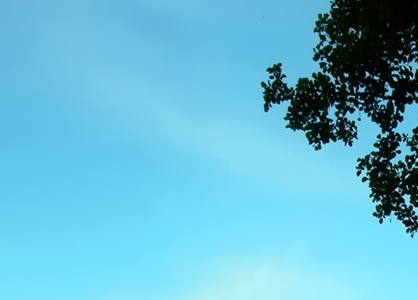 阮海波简历