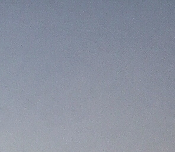 左红莲简历