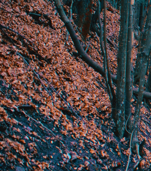 花花生活圈下载
