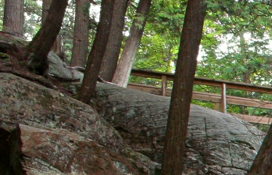 学生教务管理系统登录入口