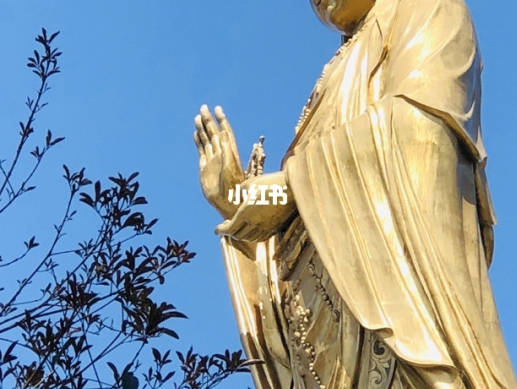 吴忠美食一条街在哪里