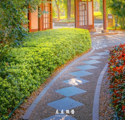 教师个人简历模板范文