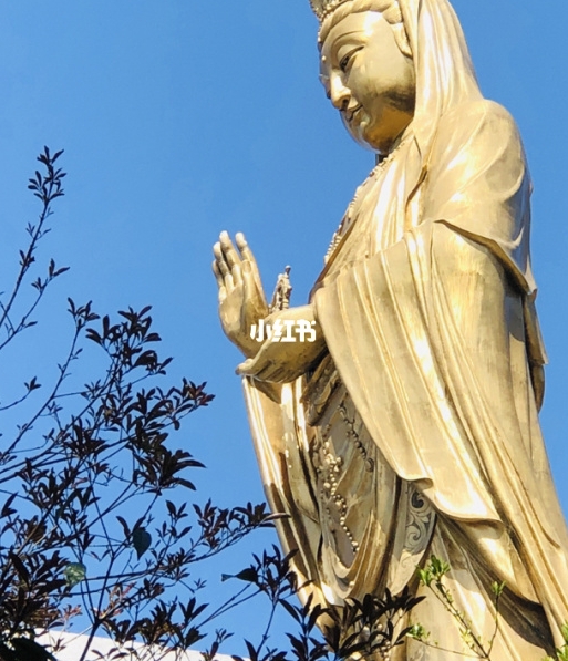 黄卓菱简历与图片一览