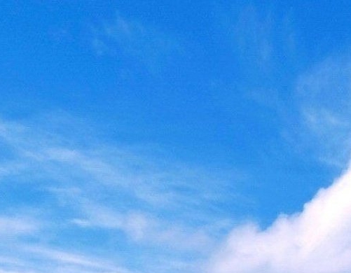 海运生活视频及海运生活视频详解