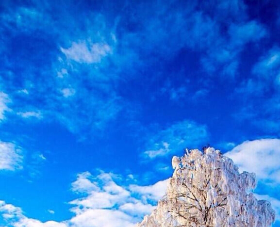 鹤老师简历
