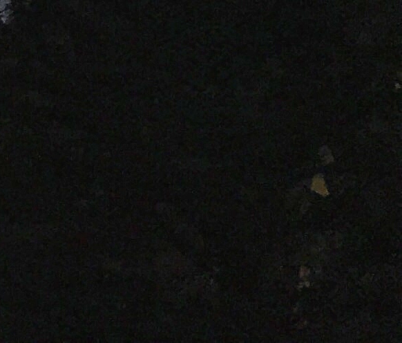 生活中物体运动：形式、路线与观察