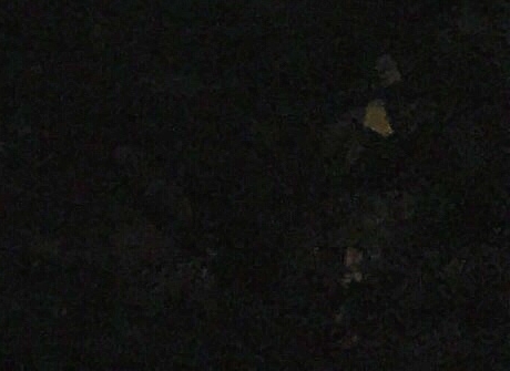 苏州晚年生活，美好幸福无限
